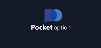 Understanding the Pocket Option License