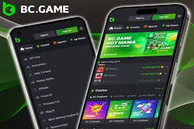 দায়িত্বশীল জুয়া BC Game এটি কীভাবে আপনার অভিজ্ঞতাকে নিরাপদ ও মজাদার করে তোলে